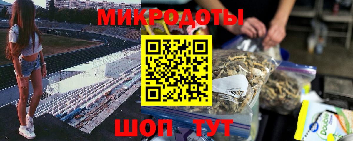 Псилоцибиновые грибы Psilocybine cubensis Знаменск
